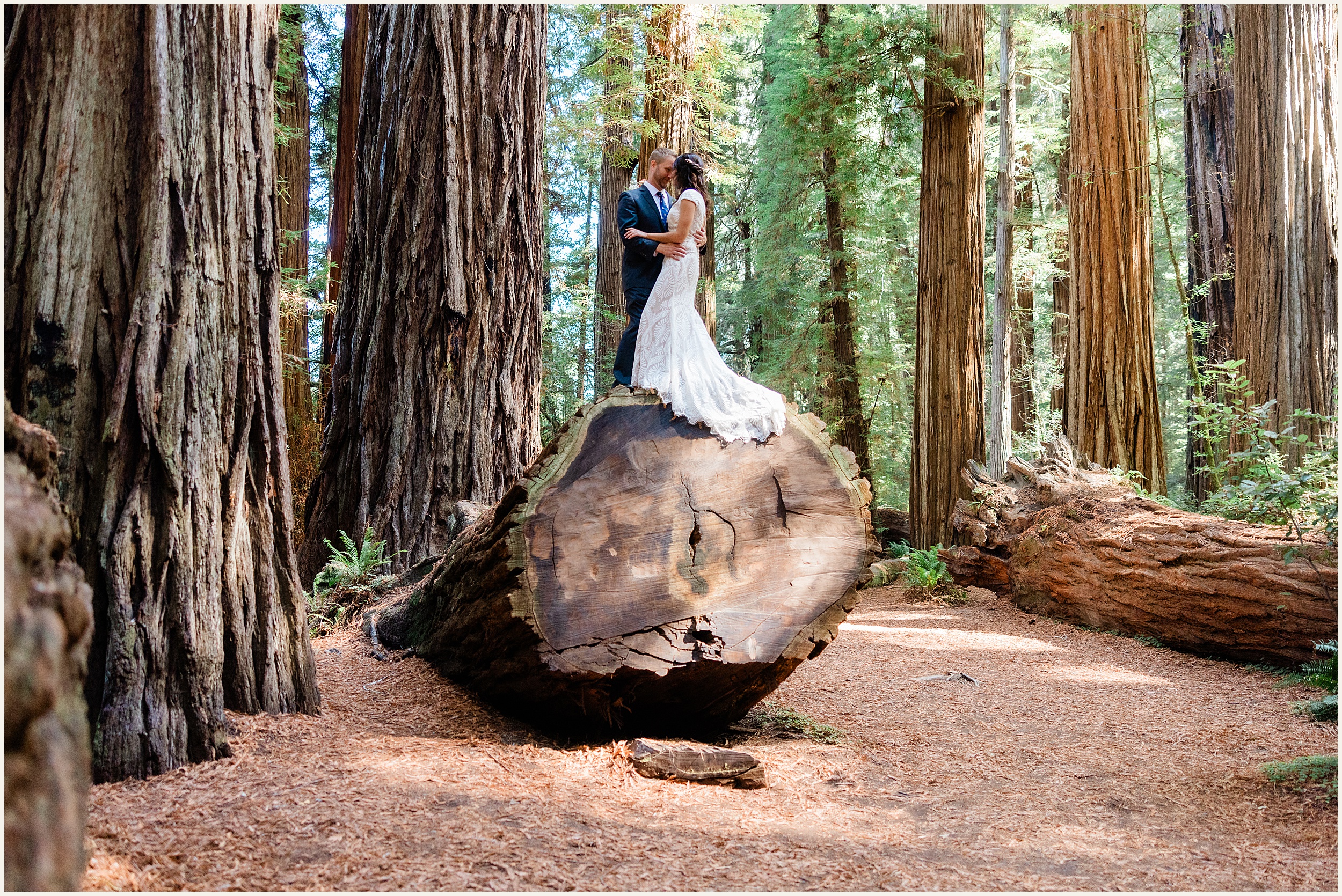 Redwood-Elopement_Emily-and-Jon_0018 Redwood National Park Elopement // Emily and Jon