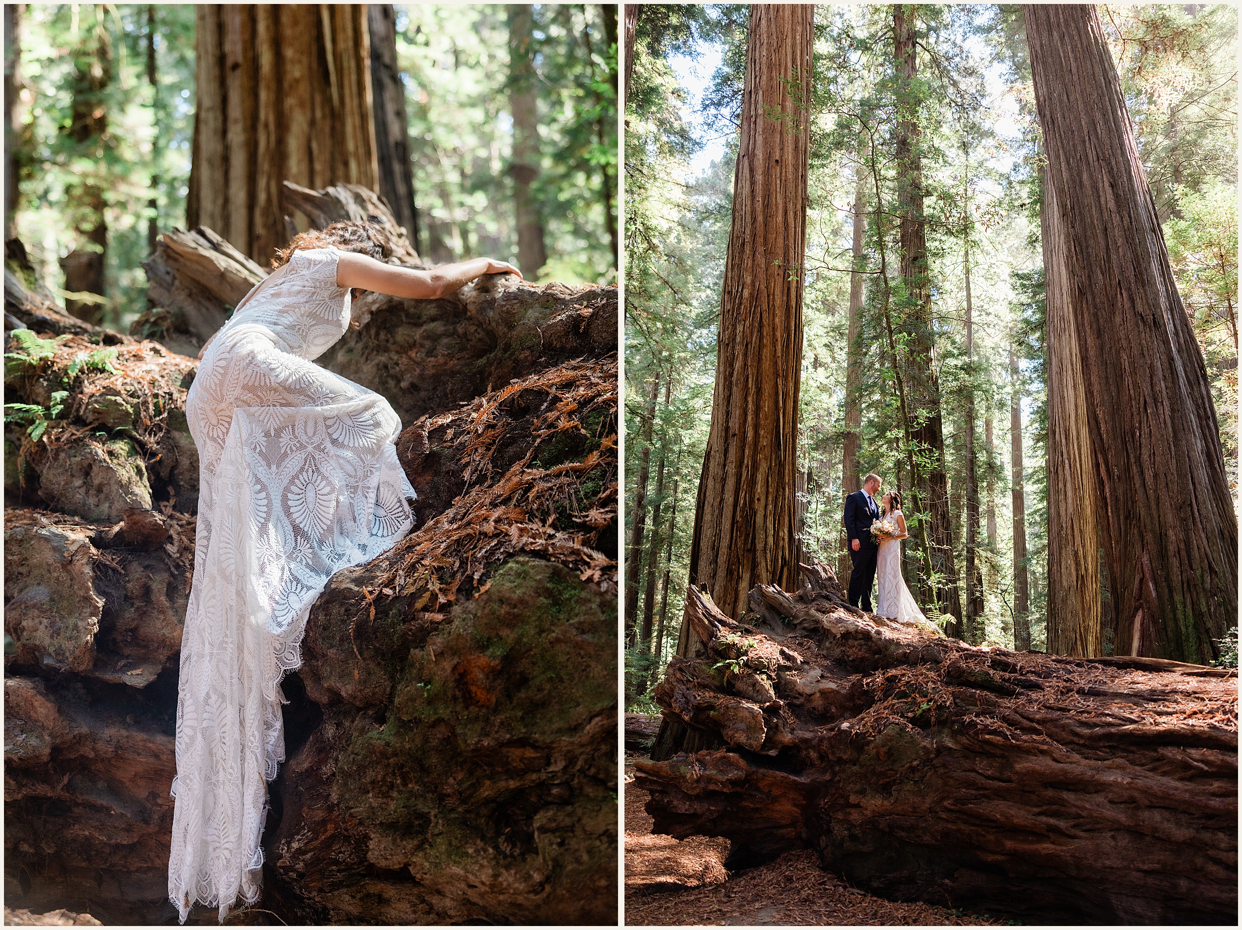 Redwood-Elopement_Emily-and-Jon_0018 Redwood National Park Elopement // Emily and Jon