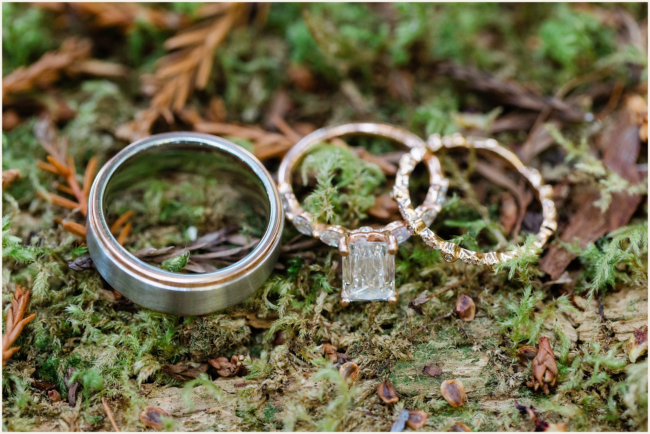 Redwood-Elopement_Emily-and-Jon_0018 Redwood National Park Elopement // Emily and Jon