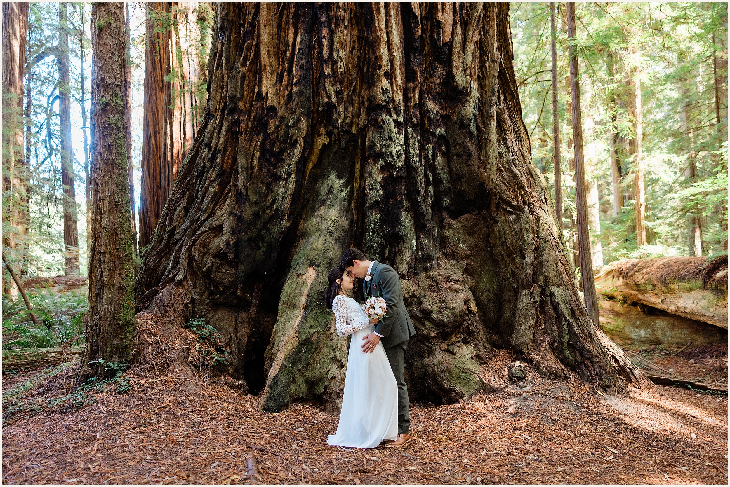 Redwood-National-Park-Elopement_Fracesca-and-Elijah_0018 Small California Redwood Elopement Wedding With Family // Francesca & Elijah