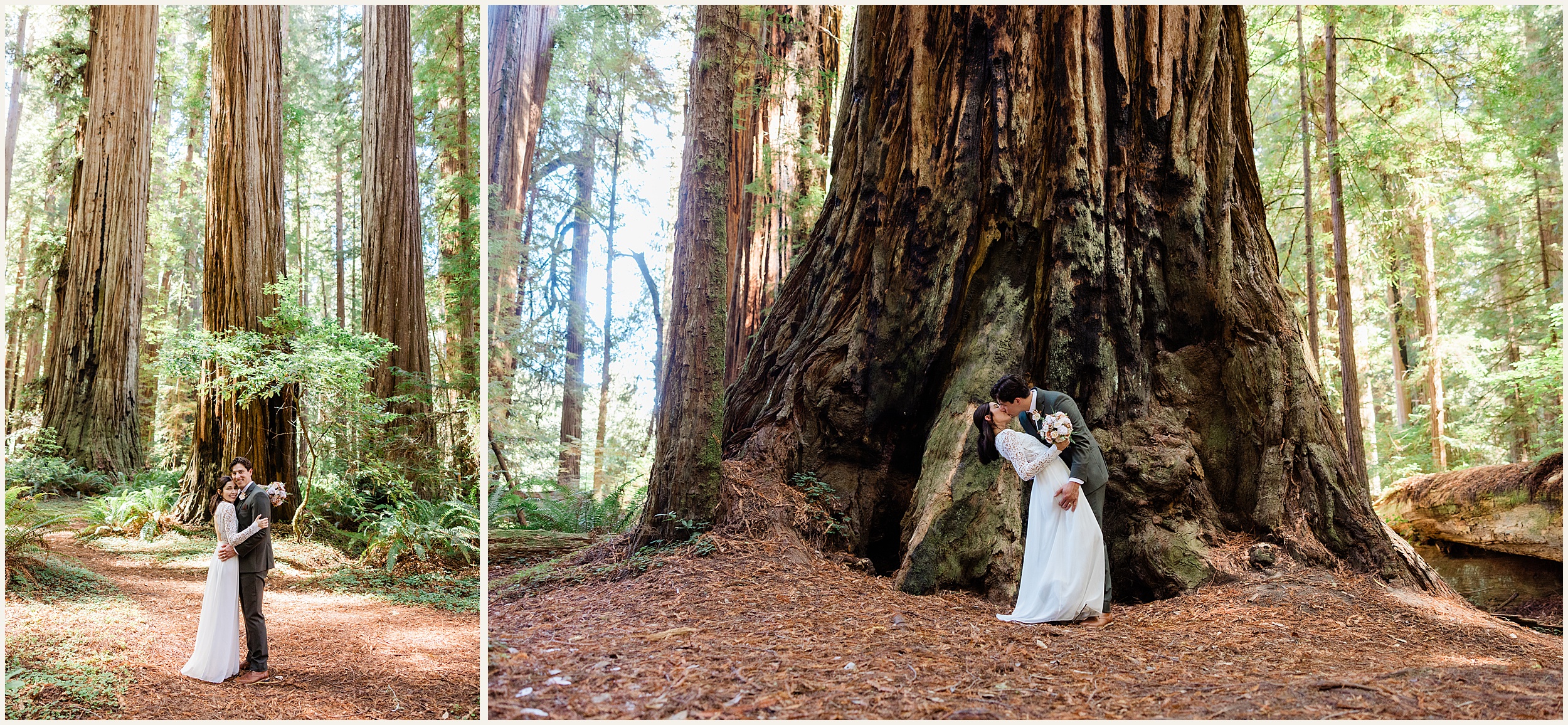 Redwood-National-Park-Elopement_Fracesca-and-Elijah_0023 Small California Redwood Elopement Wedding With Family // Francesca & Elijah