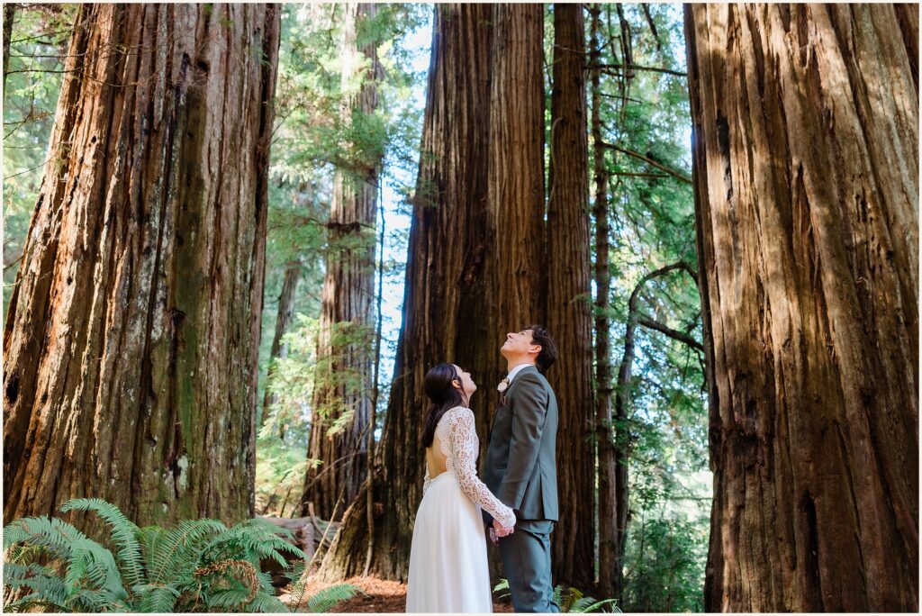 Redwoods-Elopement_Ali-and-Nick_0013 Redwoods National Park Elopement | Common Questions