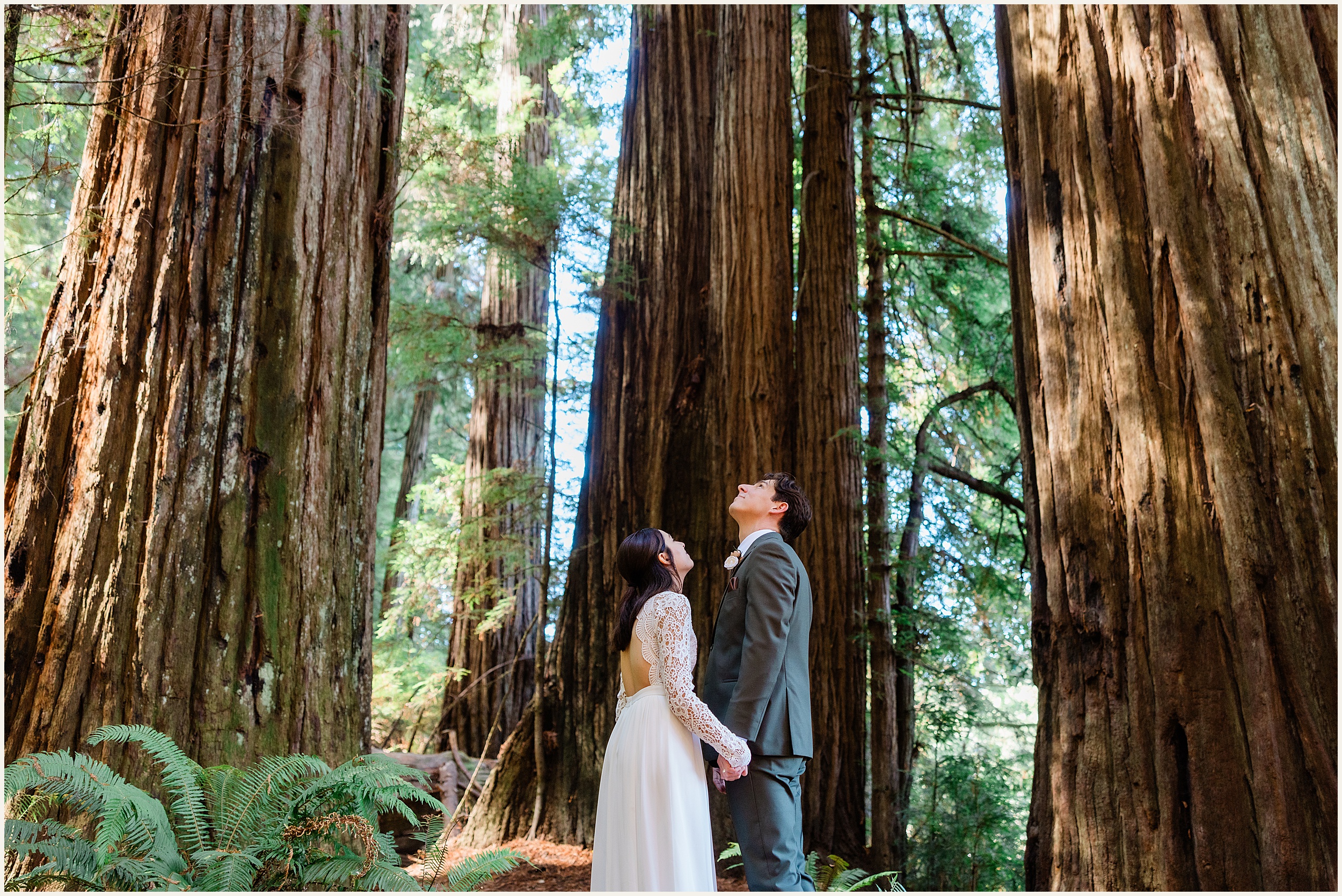 Redwood-National-Park-Elopement_Fracesca-and-Elijah_0023 Small California Redwood Elopement Wedding With Family // Francesca & Elijah