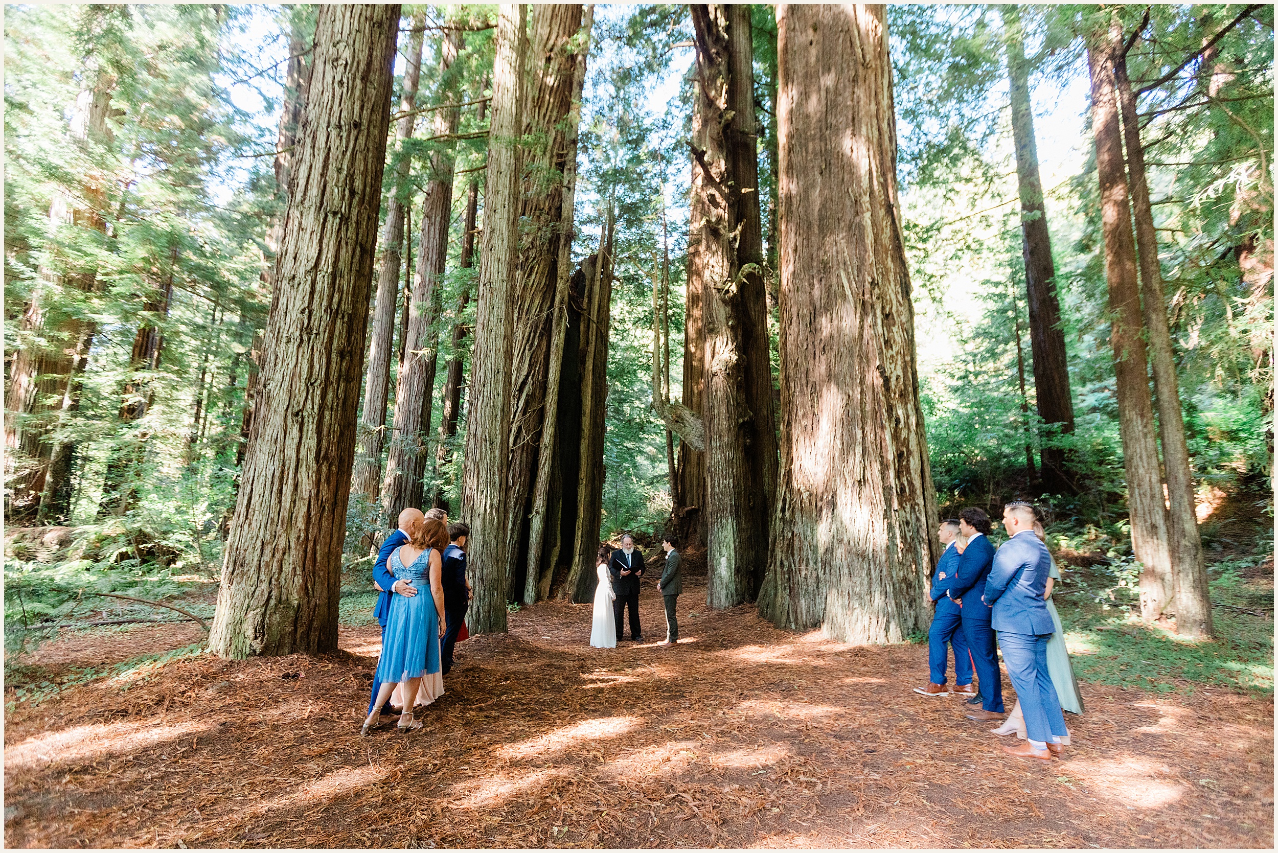 Redwood-National-Park-Elopement_Fracesca-and-Elijah_0023 Small California Redwood Elopement Wedding With Family // Francesca & Elijah