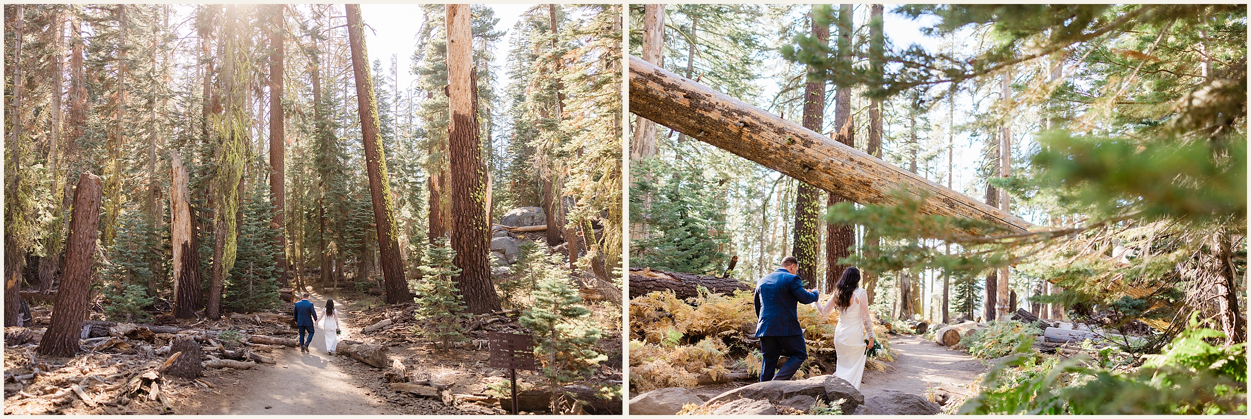 Sentinal-Beach-Ceremony_Yosemite-Elopement_Megan-and-Kristopher_0010 Sentinel Beach Yosemite Wedding Elopement // Megan and Kristopher