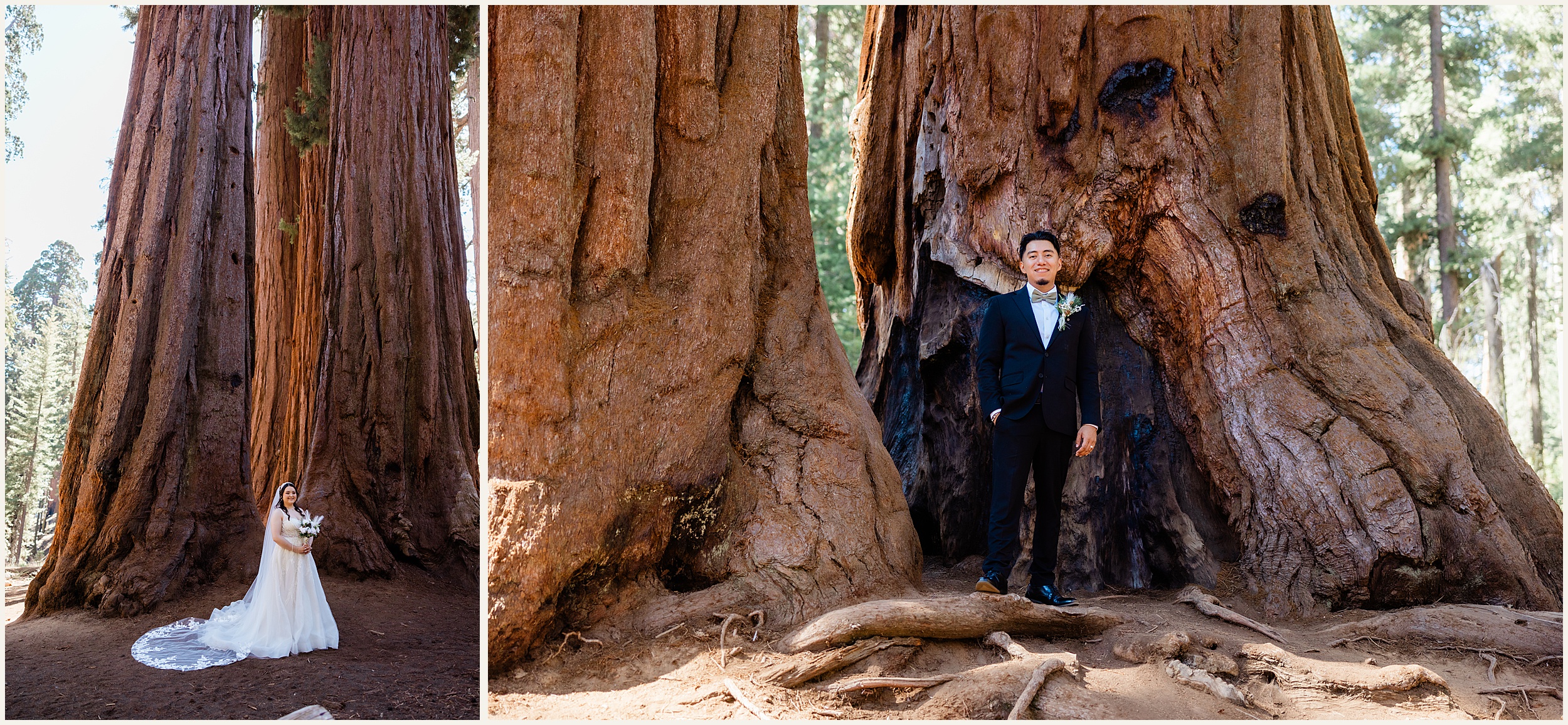 Sequoia-National-Park-Elopement_Michelle-and-Rudy_0032 Michelle and Rudy’s Sequoia Elopement: A Romantic Adventure in California