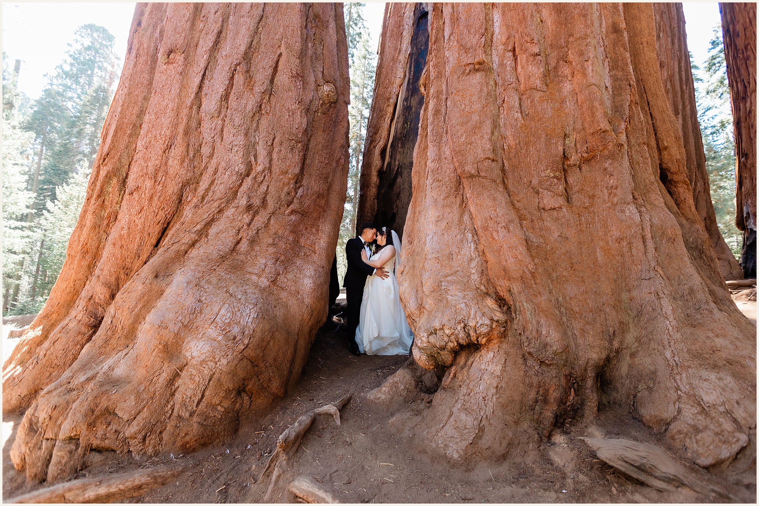 Sequoia-National-Park-Elopement_Michelle-and-Rudy_0032 Michelle and Rudy’s Sequoia Elopement: A Romantic Adventure in California