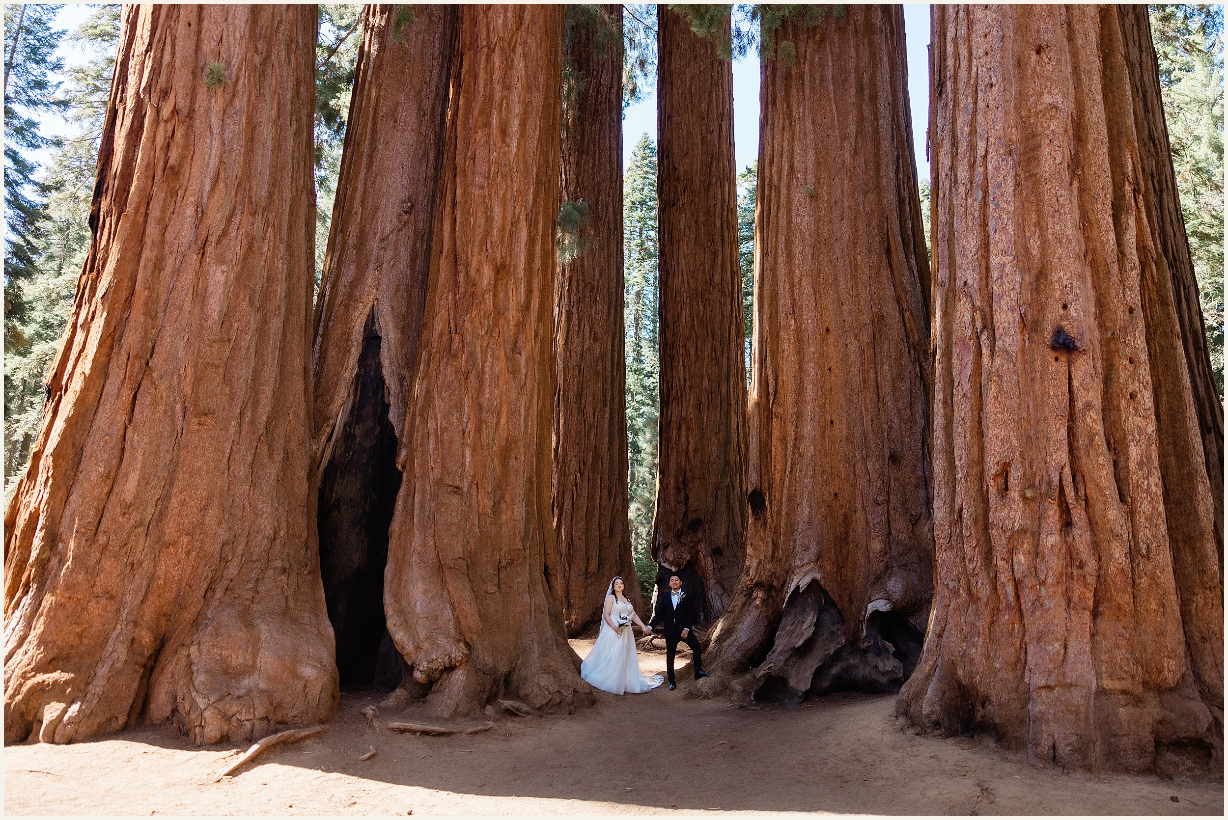 Sequoia-National-Park-Elopement_Michelle-and-Rudy_0032 Michelle and Rudy’s Sequoia Elopement: A Romantic Adventure in California