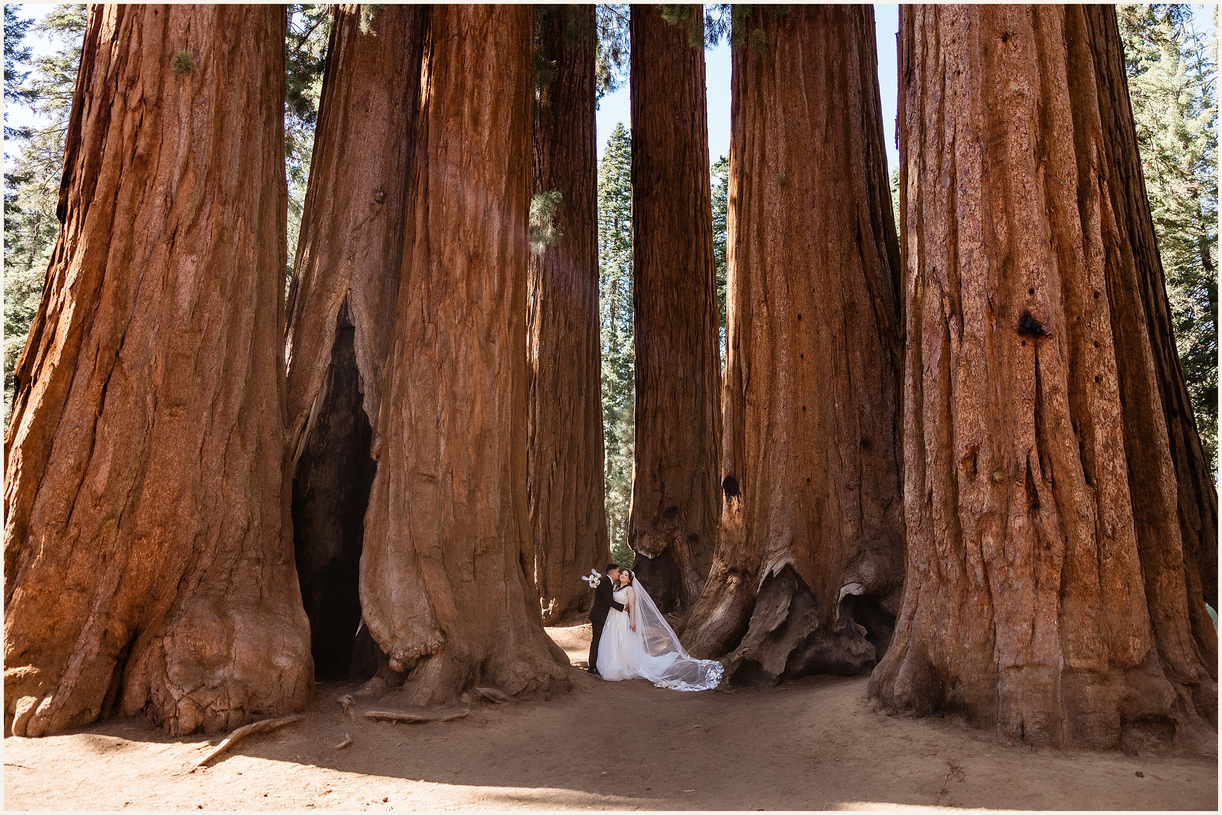 Sequoia-National-Park-Elopement_Michelle-and-Rudy_0032 Michelle and Rudy’s Sequoia Elopement: A Romantic Adventure in California