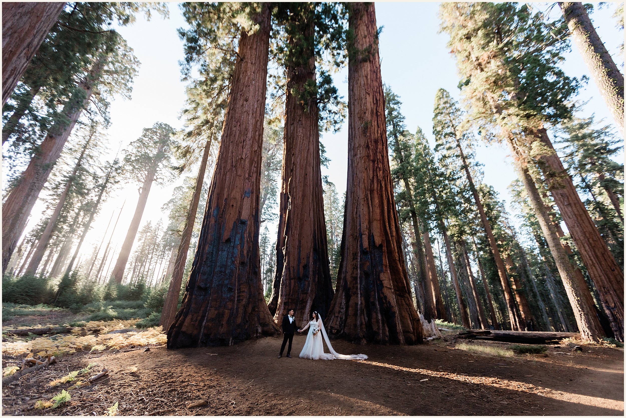 Sequoia-National-Park-Elopement_Michelle-and-Rudy_0032 Michelle and Rudy’s Sequoia Elopement: A Romantic Adventure in California