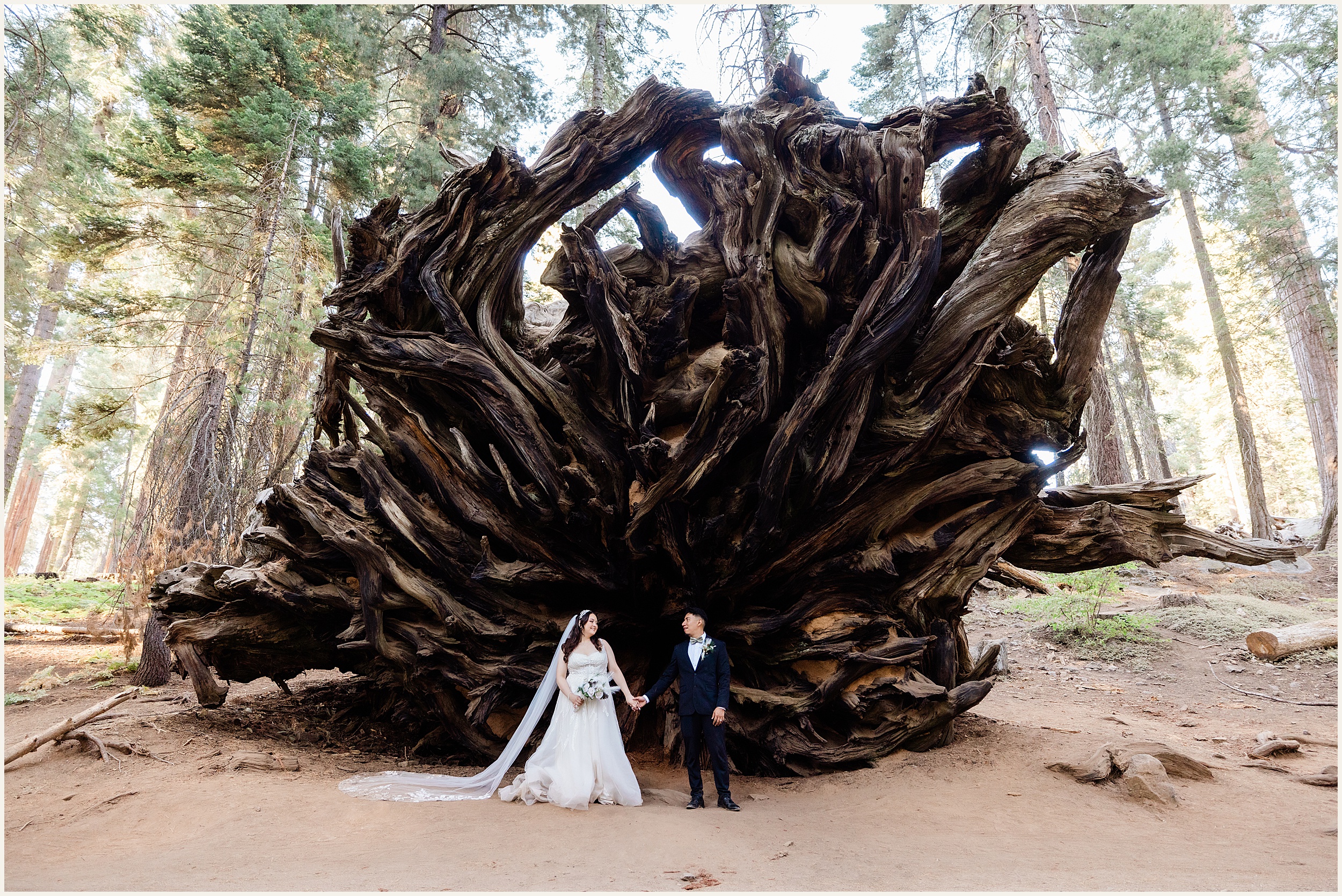 Sequoia-National-Park-Elopement_Michelle-and-Rudy_0032 Michelle and Rudy’s Sequoia Elopement: A Romantic Adventure in California