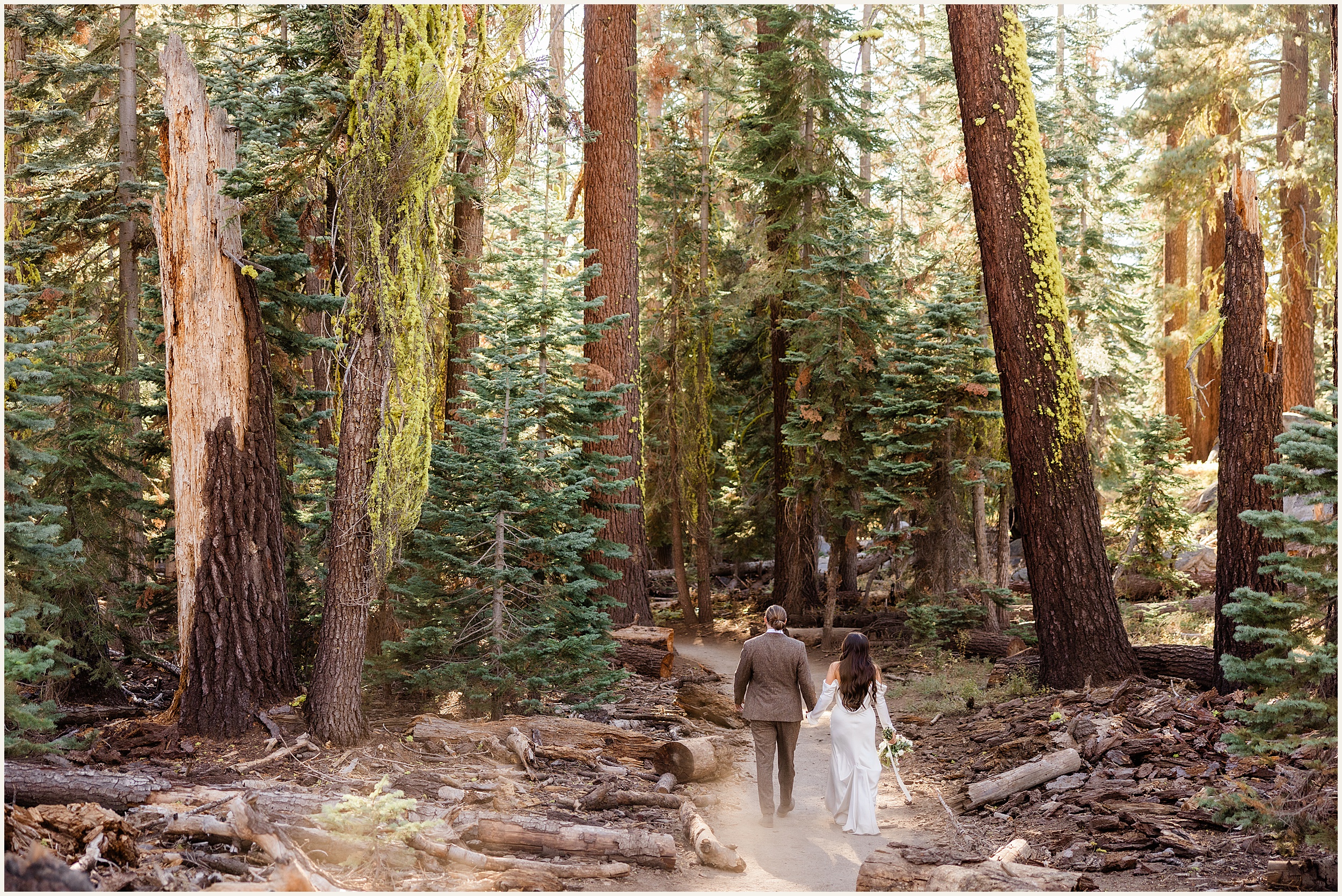 Yosemite-Elopement-Photos_Austin-and-Darla_0044 Sunrise Yosemite Meadow Elopement // Austin and Darla