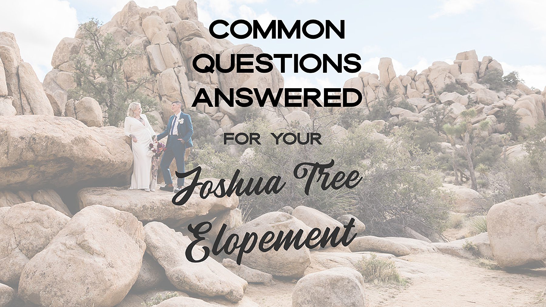 Joshua-Tree-Elopement_0002 Common Questions Answered For A Joshua Tree Elopement Wedding