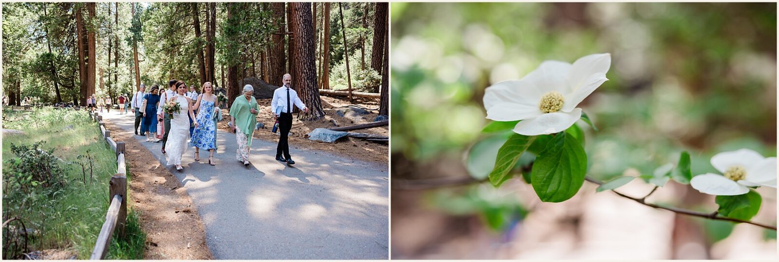 Lexy-and-Wilson_Yosemite-National-Park-Wedding_0043-1600x1070 Stunning Yosemite Falls Wedding Elopement in Spring