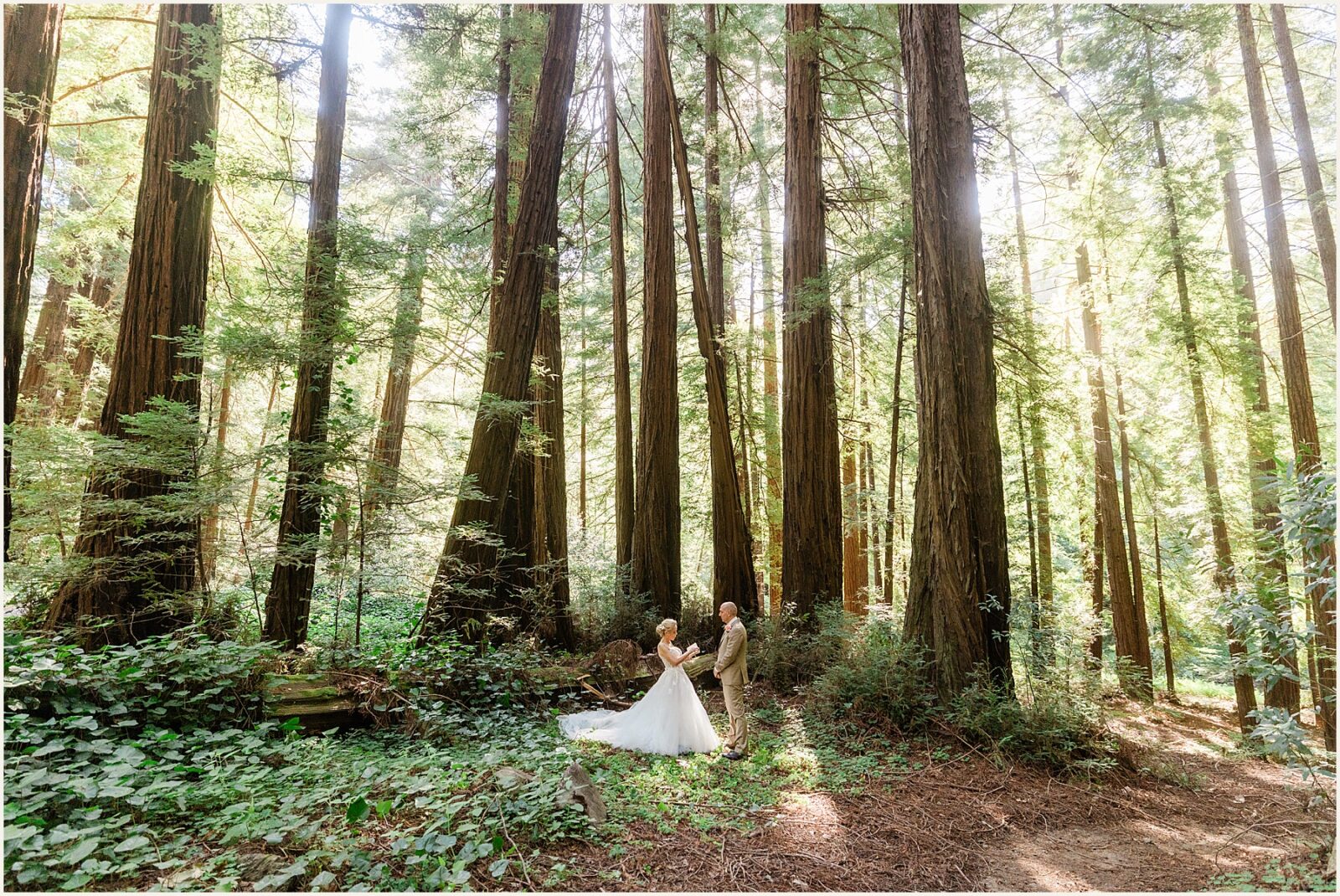 Mary-and-Bryan_Big-Sur-elopement-package_0055-1600x1070 Big Sur Mary-and-Bryan_Big-Sur-elopement-package_0055-1600x1070 Romantic Big Sur Elopement Package For 2