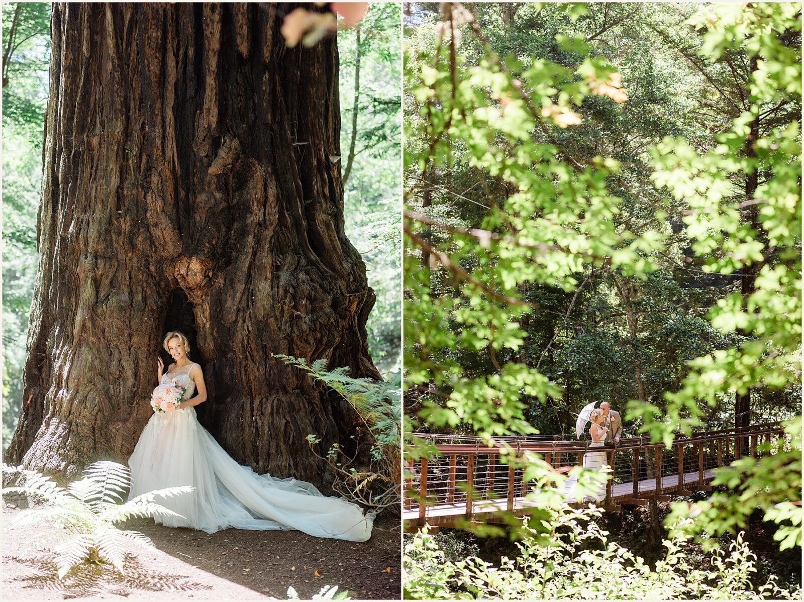 Mary-and-Bryan_Big-Sur-elopement-package_0055-1600x1070 Big Sur Mary-and-Bryan_Big-Sur-elopement-package_0055-1600x1070 Romantic Big Sur Elopement Package For 2