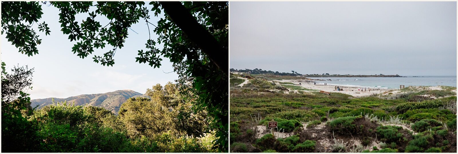 Skye-and-Andrew_two-day-elopement_0111-1600x1071 Adventure Weddings + Elopements Skye-and-Andrew_two-day-elopement_0111-1600x1071 Two Day Elopement In Big Sur