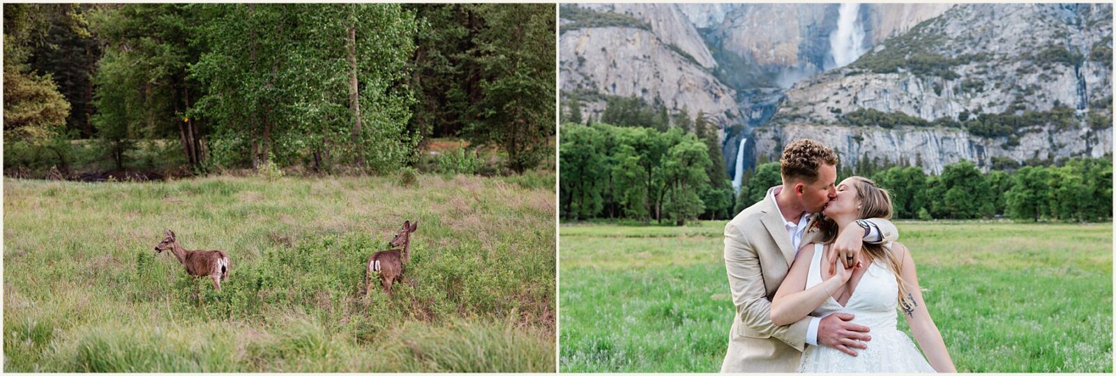 Sydney-and-William_Yosemite-wedding-photographer_0008-1600x1070 Adventure Weddings + Elopements Sydney-and-William_Yosemite-wedding-photographer_0008-1600x1070 Yosemite Adventure Elopement | Yosemite Wedding Photographer