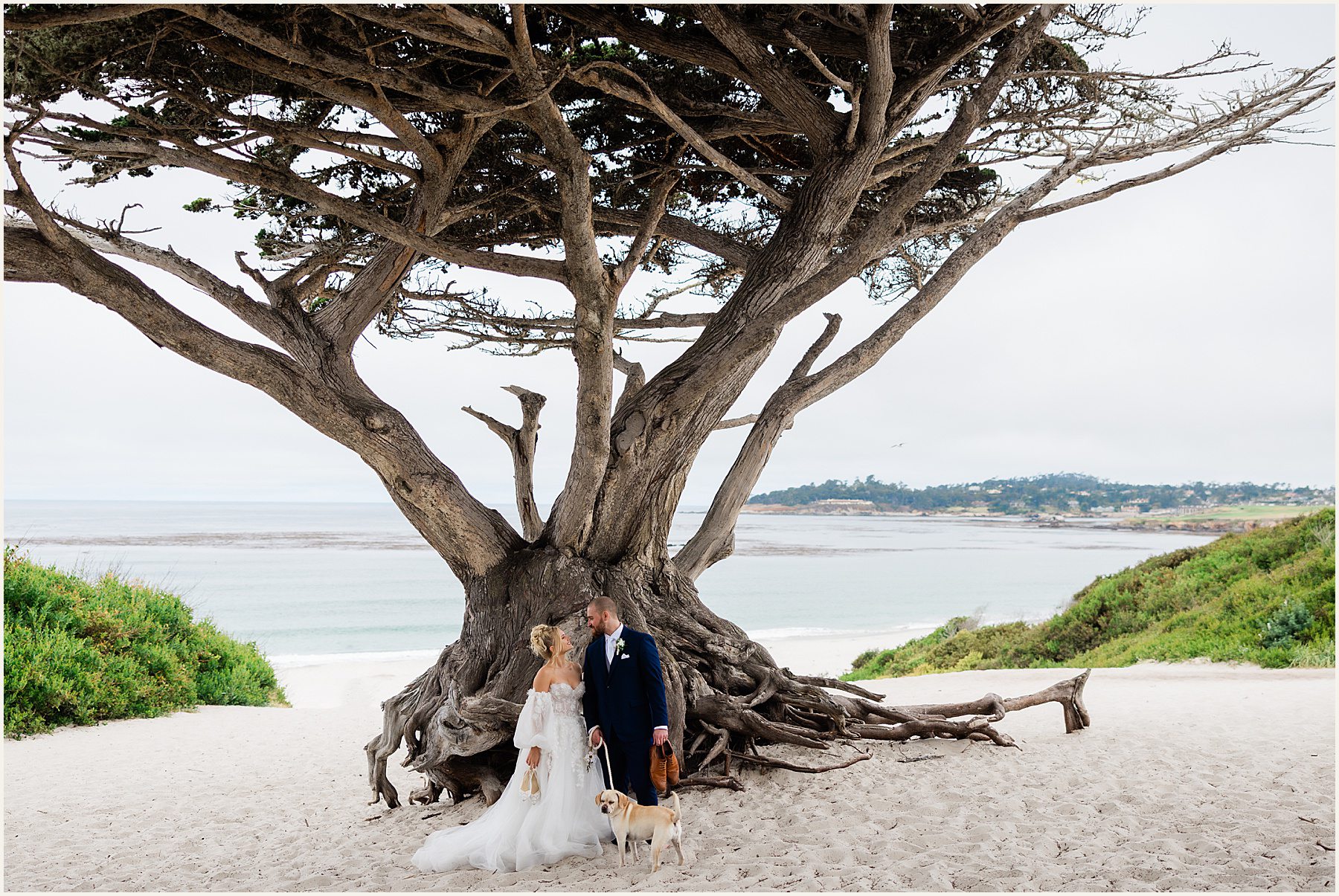 Carmel-by-the-sea-wedding_Margaret-and-Jake_0020 Carmel By The Sea Wedding Elopement