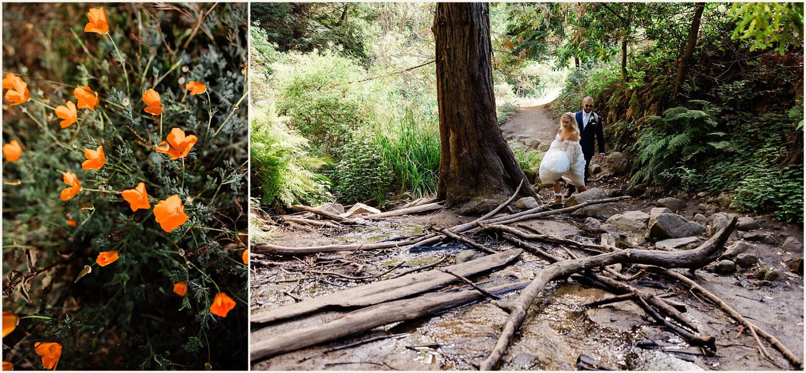 Carmel-by-the-sea-wedding_Margaret-and-Jake_0020-1600x1071 Carmel By The Sea Wedding Elopement