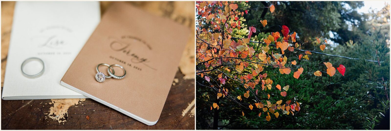 big-sur-photographer_lisa-and-jeremy_0020-1600x1071 Adventure Weddings + Elopements big-sur-photographer_lisa-and-jeremy_0020-1600x1071 Big Sur Photographer | Redwood Elopement