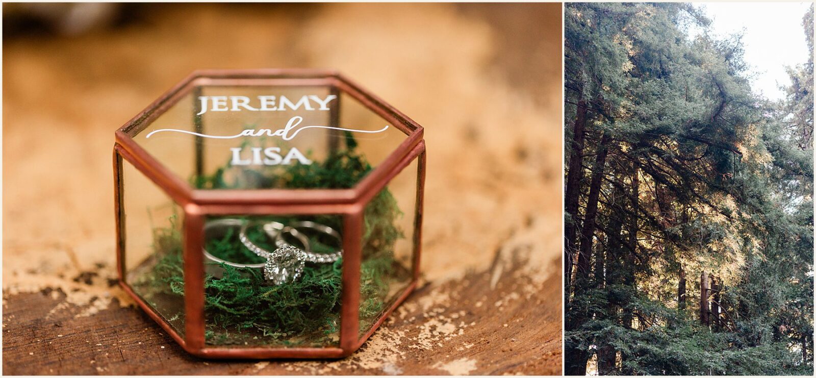 big-sur-photographer_lisa-and-jeremy_0020-1600x1071 Adventure Weddings + Elopements big-sur-photographer_lisa-and-jeremy_0020-1600x1071 Big Sur Photographer | Redwood Elopement