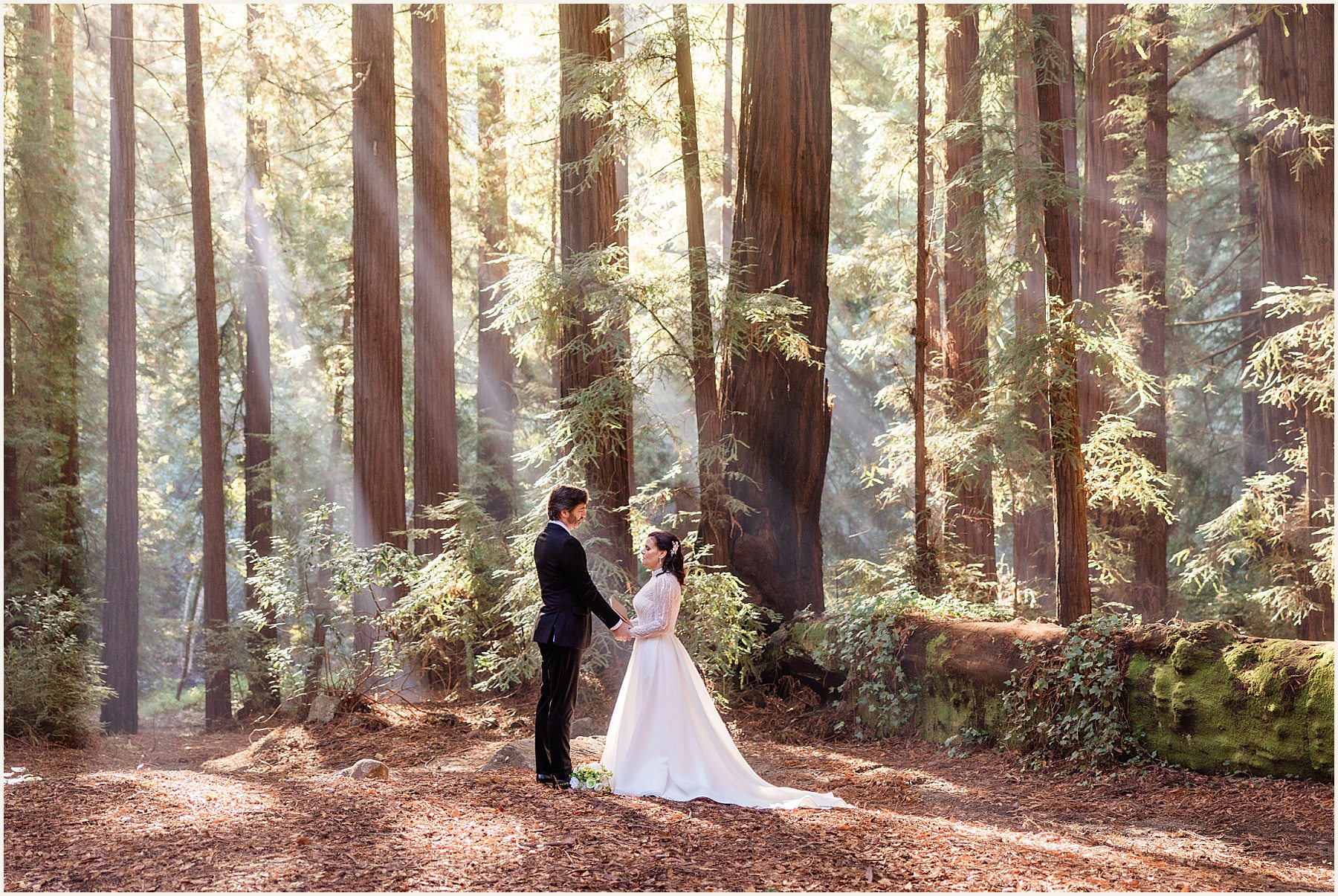 big-sur-photographer_lisa-and-jeremy_0020 Big Sur Photographer | Redwood Elopement