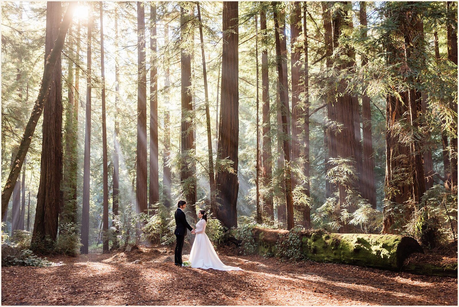 big-sur-photographer_lisa-and-jeremy_0020-1600x1071 Adventure Weddings + Elopements big-sur-photographer_lisa-and-jeremy_0020-1600x1071 Big Sur Photographer | Redwood Elopement