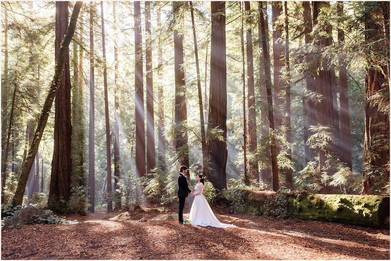 big-sur-photographer_lisa-and-jeremy_0020-1600x1071 Adventure Weddings + Elopements big-sur-photographer_lisa-and-jeremy_0020-1600x1071 Big Sur Photographer | Redwood Elopement