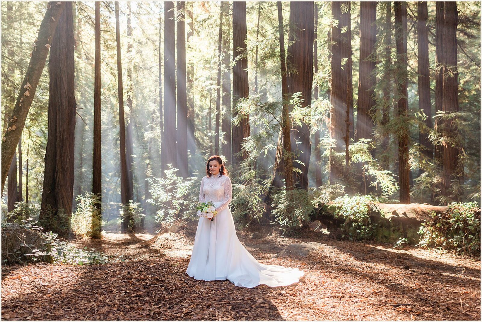 big-sur-photographer_lisa-and-jeremy_0020-1600x1071 Adventure Weddings + Elopements big-sur-photographer_lisa-and-jeremy_0020-1600x1071 Big Sur Photographer | Redwood Elopement