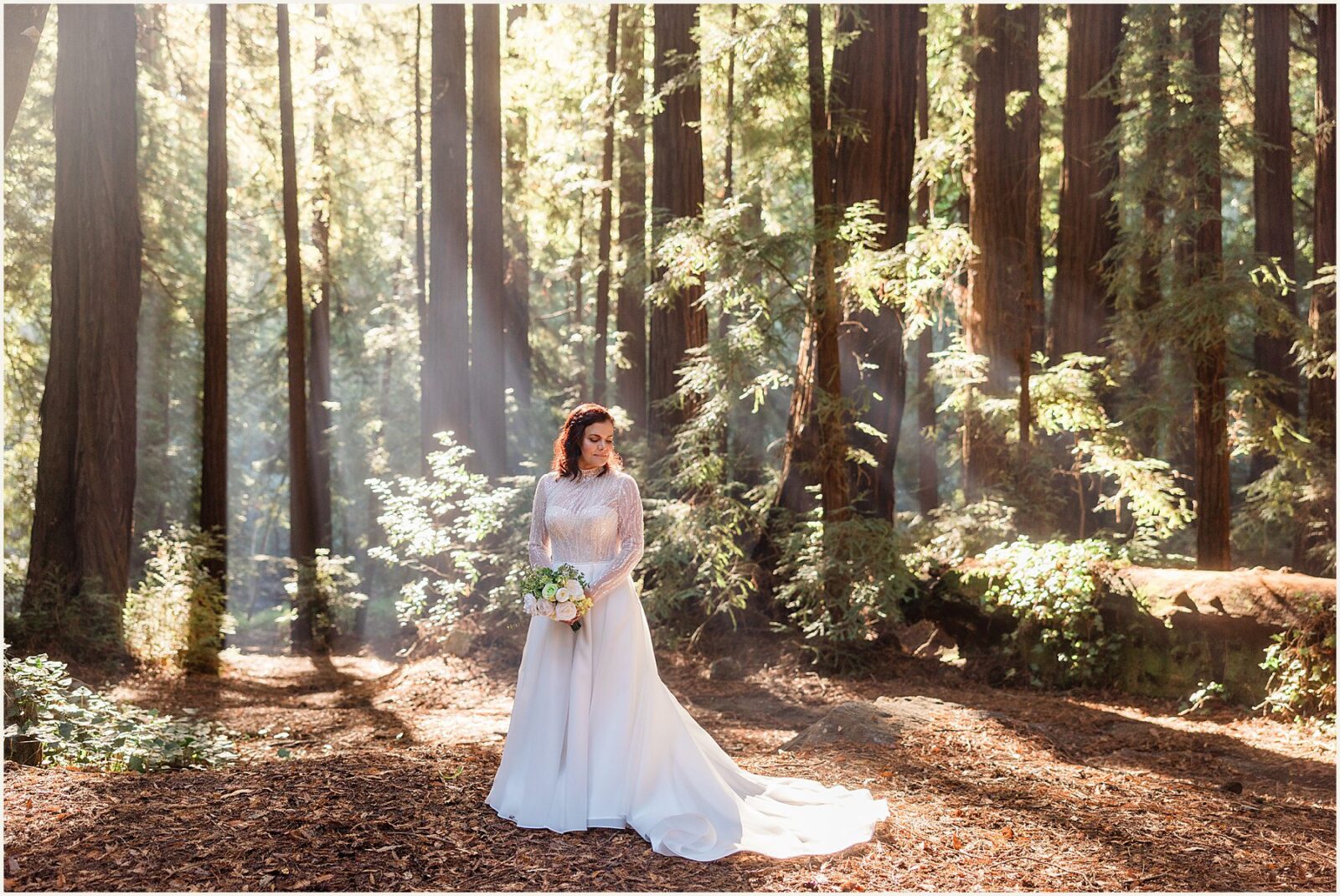 big-sur-photographer_lisa-and-jeremy_0020-1600x1071 Adventure Weddings + Elopements big-sur-photographer_lisa-and-jeremy_0020-1600x1071 Big Sur Photographer | Redwood Elopement