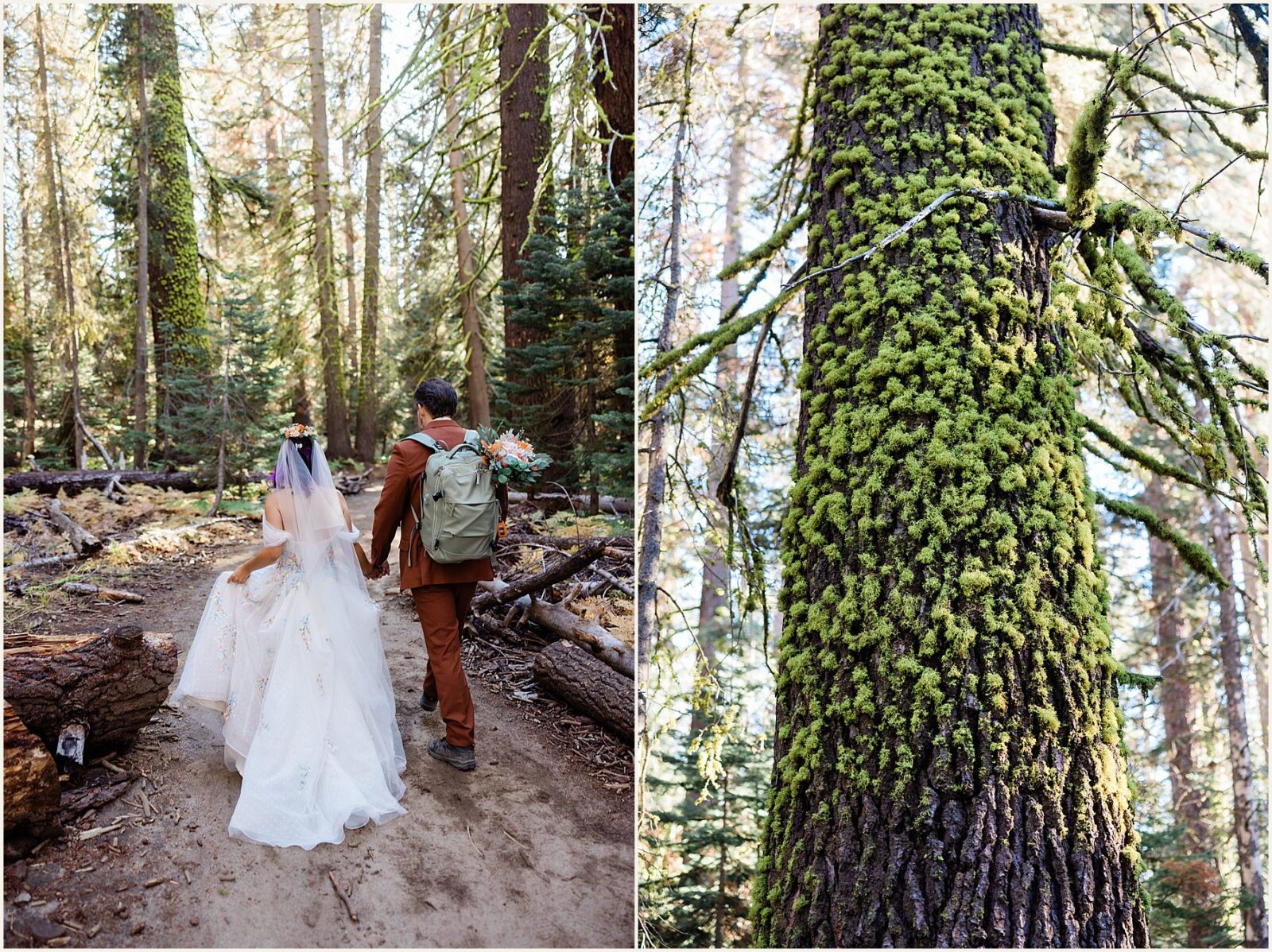 cathedral-beach-picnic-area_brian-and-crystal_0089-1600x1070 Cathedral Beach Picnic Area Wedding In Yosemite