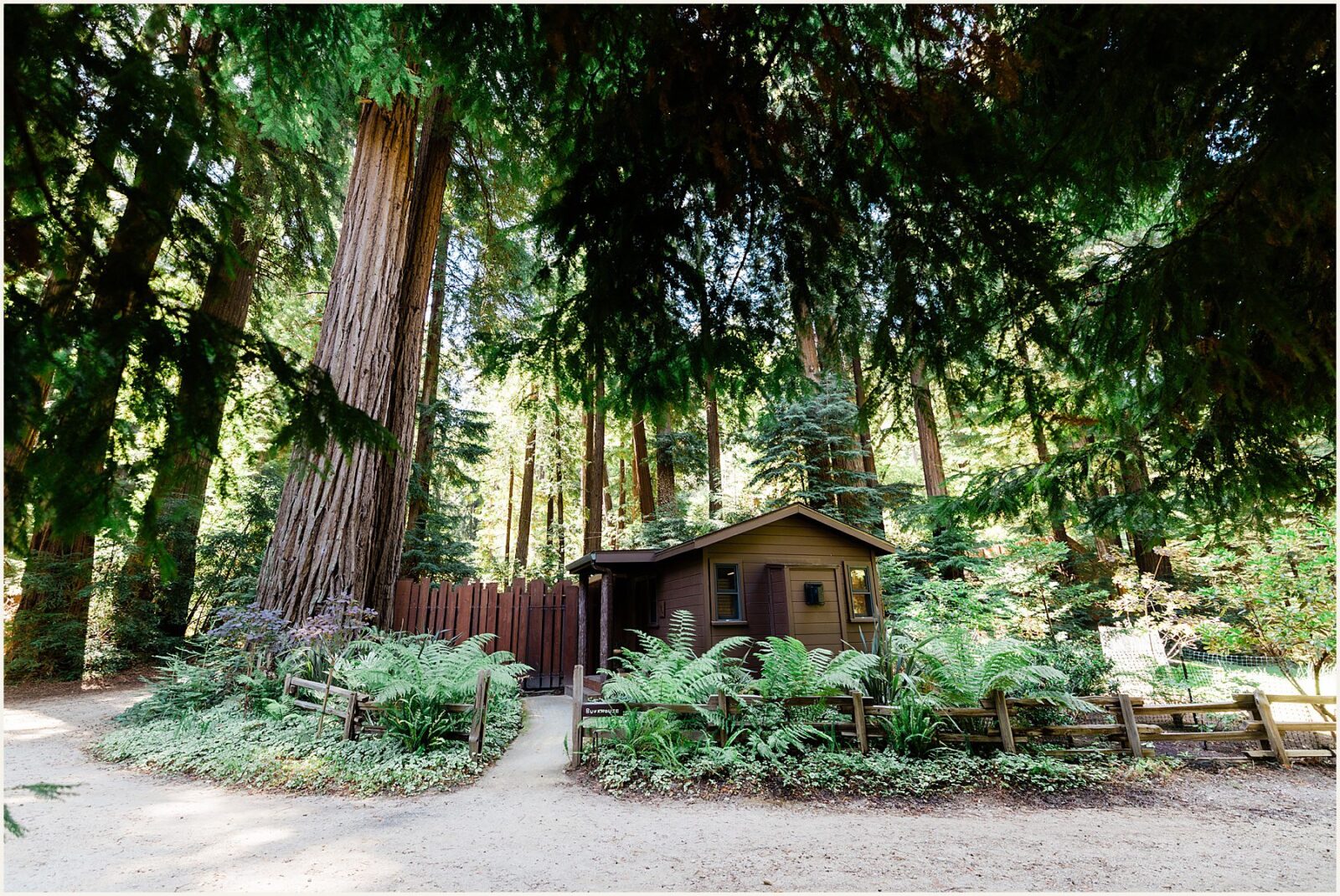coastal-wedding-in-California_caiti-and-justin_0014-1-1600x1198 Coastal Wedding In California | Big Sur Elopement