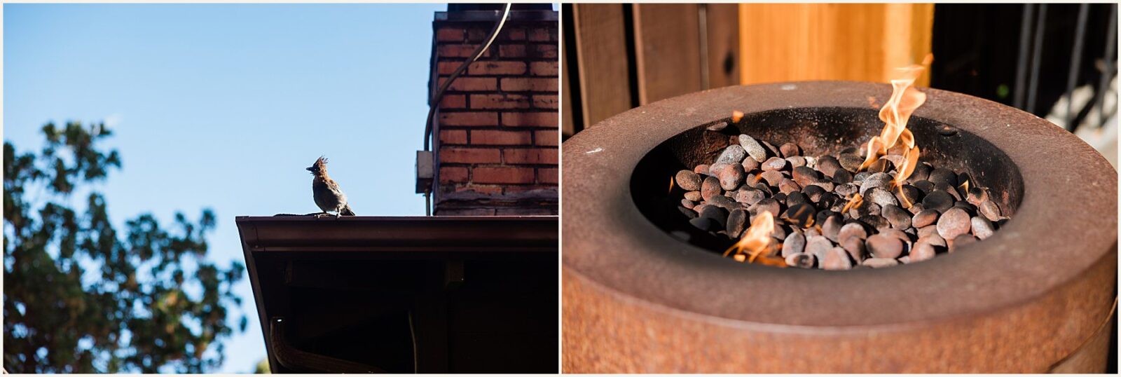 eloping-with-kids_kaite-and-zach_0088-1600x1071 Eloping With Kids | Big Sur Elopement