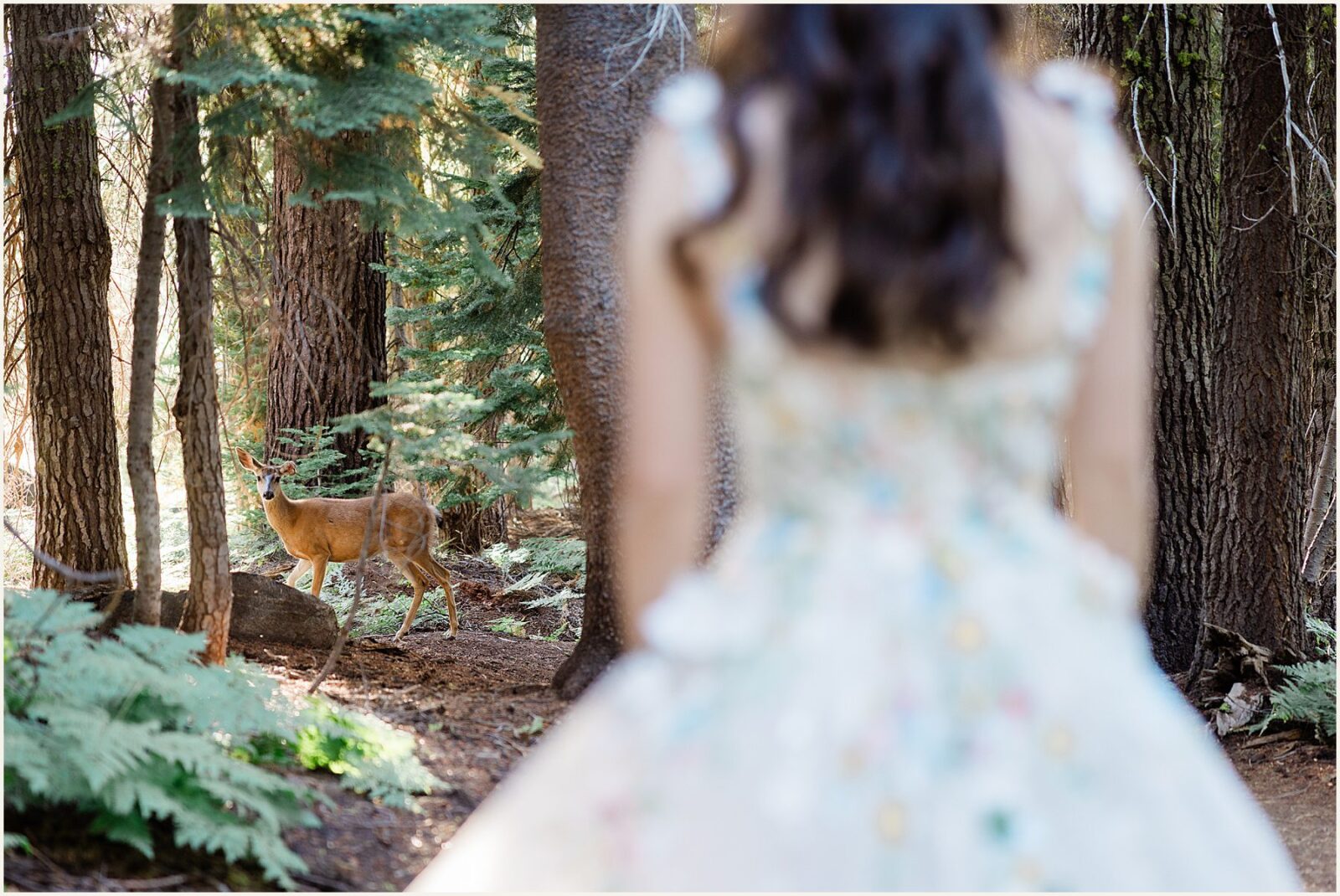 glacier-point-elopement_kat-and-ryan_0013-1600x1070 Glacier Point Elopement In Yosemite With Family