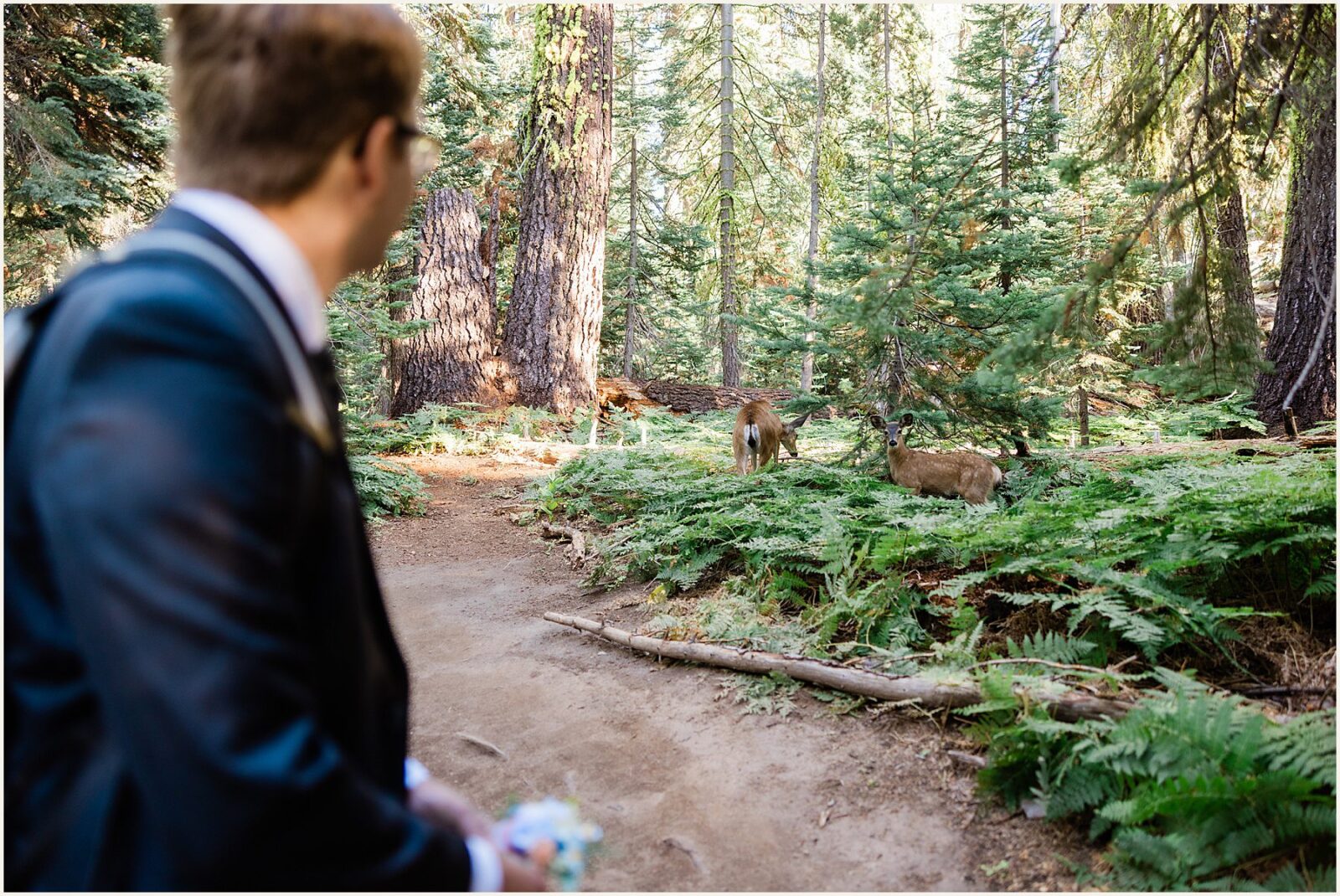 glacier-point-elopement_kat-and-ryan_0013-1600x1070 Glacier Point Elopement In Yosemite With Family