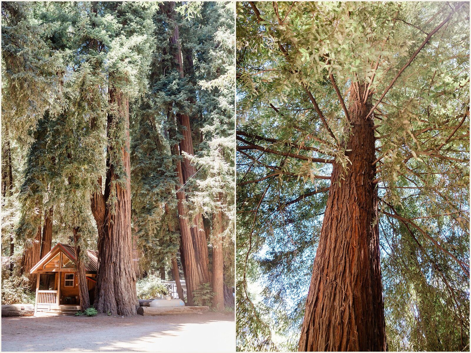 micro-beach-weddings_emily-and-brianna_0049-1600x1070 Micro Beach Wedding | Coastal Elopement
