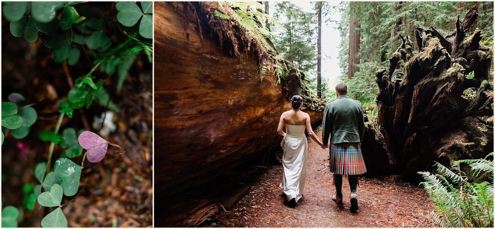 redwood-elopement_wenya-and-wilson_0026-1600x1070 Adventure Weddings + Elopements redwood-elopement_wenya-and-wilson_0026-1600x1070 Redwood Elopement | Eloping With Friends