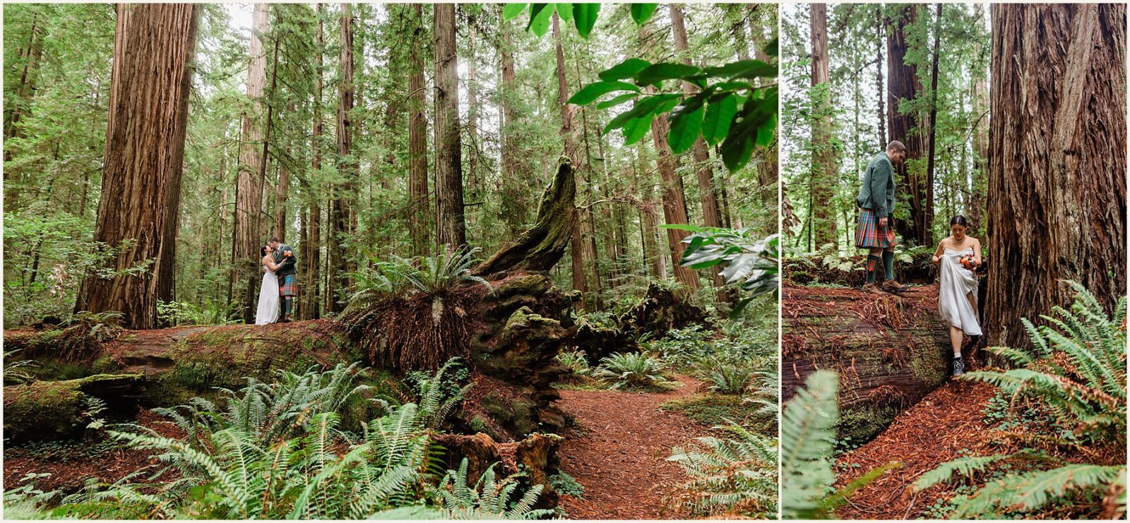 redwood-elopement_wenya-and-wilson_0026-1600x1070 Adventure Weddings + Elopements redwood-elopement_wenya-and-wilson_0026-1600x1070 Redwood Elopement | Eloping With Friends