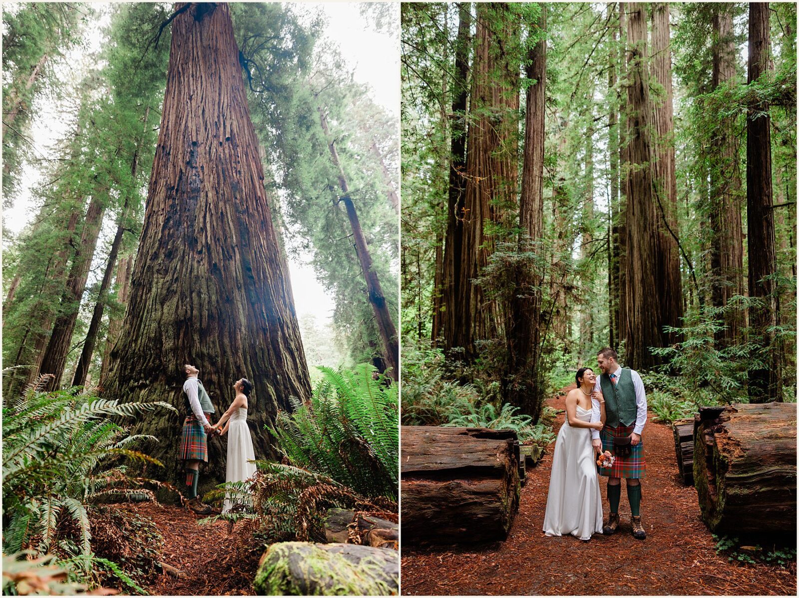 redwood-elopement_wenya-and-wilson_0026-1600x1070 Adventure Weddings + Elopements redwood-elopement_wenya-and-wilson_0026-1600x1070 Redwood Elopement | Eloping With Friends