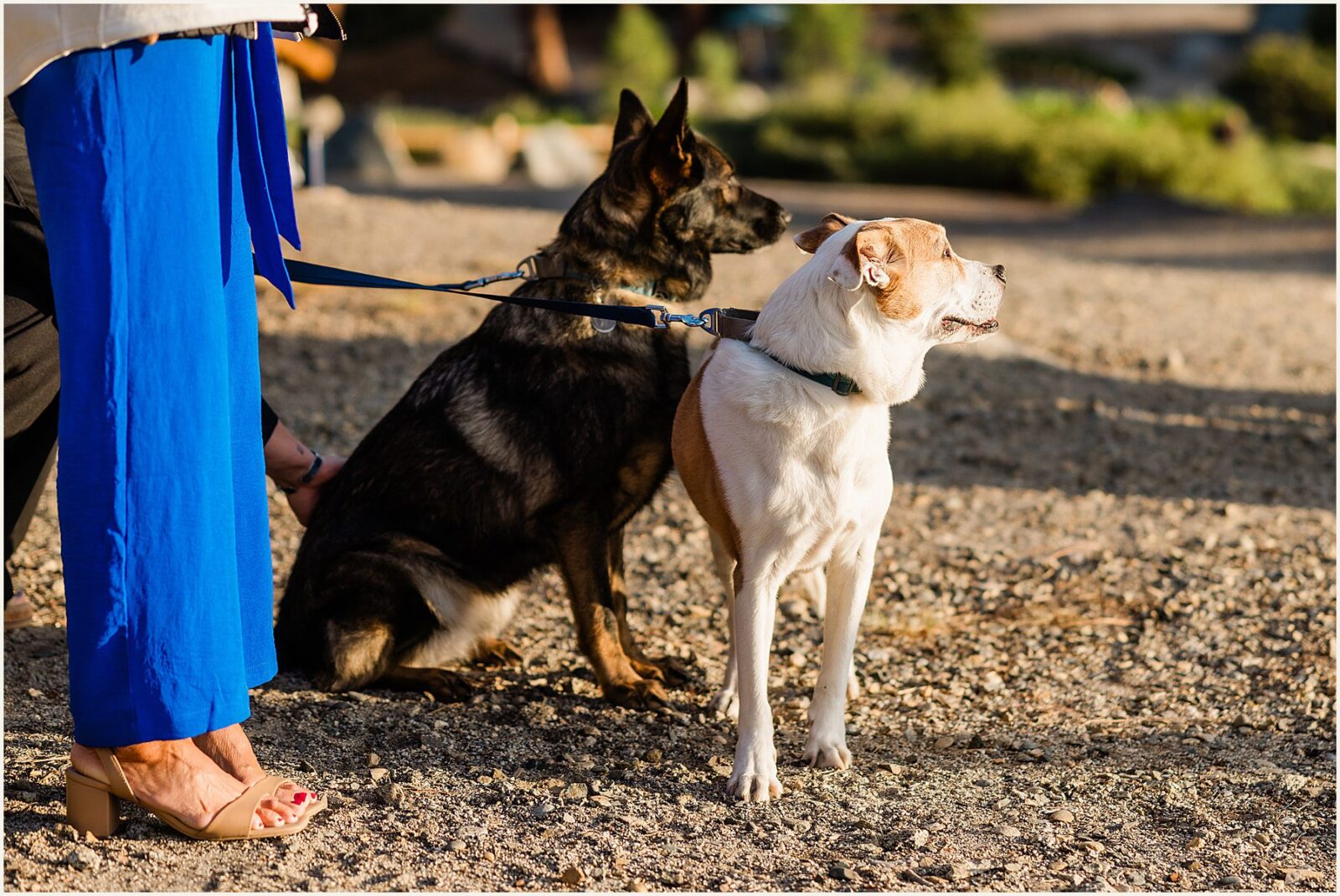 small-elopement-wedding_stephanie-and-johnathan_0011-1600x1070 Small Elopement Wedding in Yosemite National Park