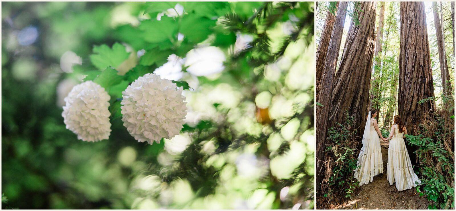 Big-Sur-Elopement-Photos_Emma-and-McKayla_0063-1600x1069 Big Sur Elopement Photos: A Coastal Love Story