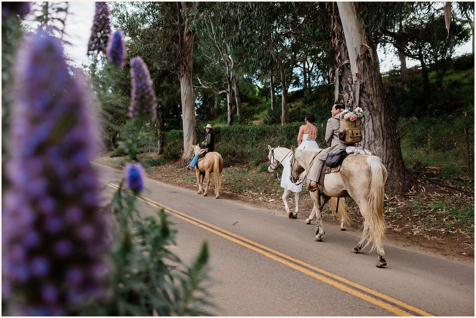 Santa-Barbara-Horseback-Riding-Elopement_Jenn-and-Jeff_0062-1600x1069 Santa Barbara Horseback Riding Elopement