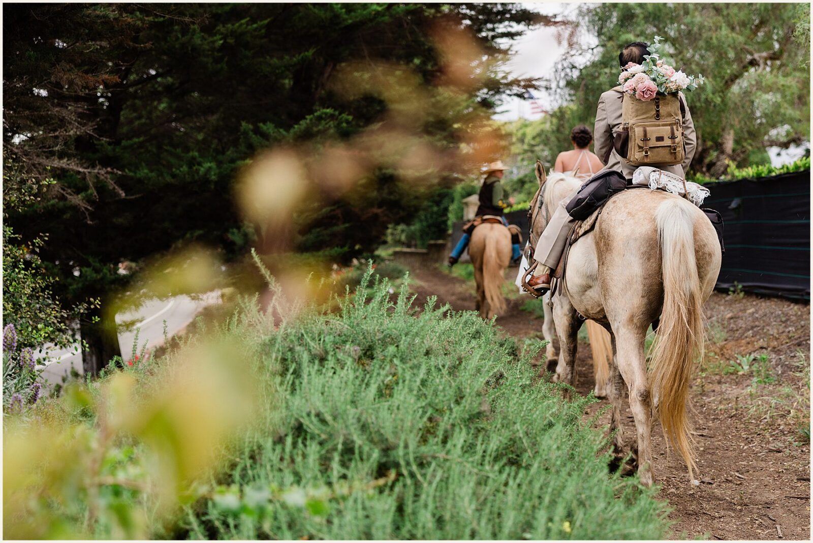 Santa-Barbara-Horseback-Riding-Elopement_Jenn-and-Jeff_0062-1600x1069 Santa Barbara Horseback Riding Elopement