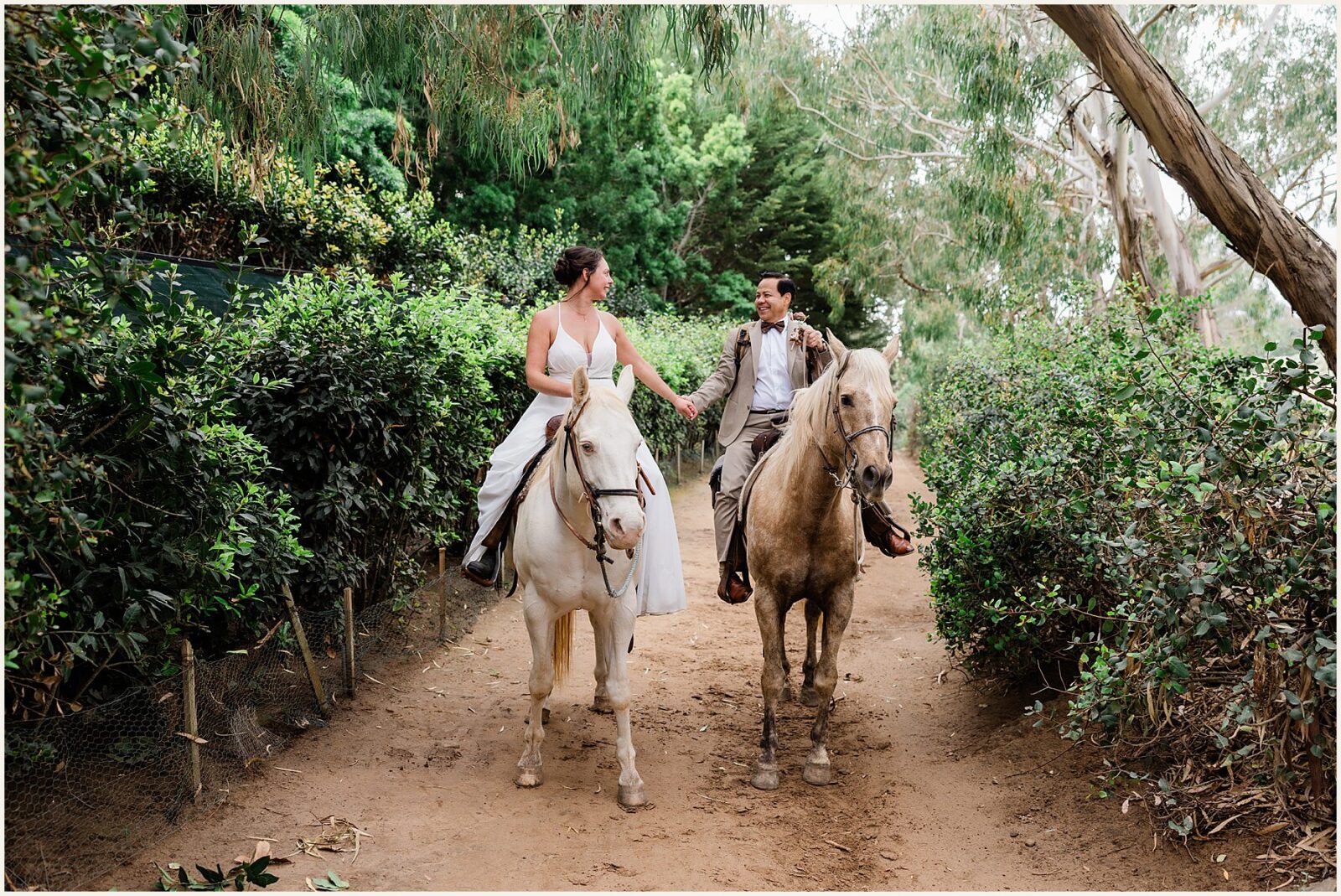 Santa-Barbara-Horseback-Riding-Elopement_Jenn-and-Jeff_0062-1600x1069 Santa Barbara Horseback Riding Elopement