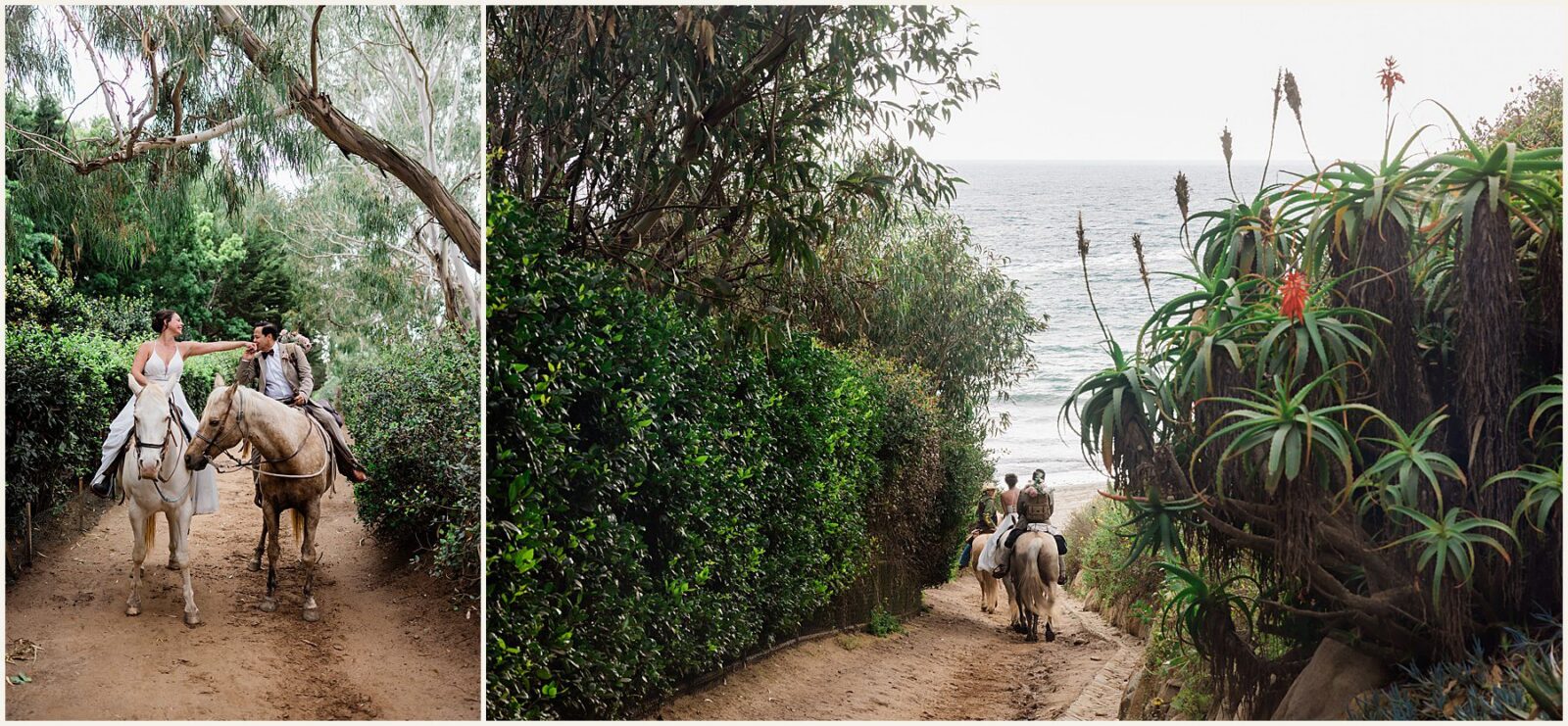Santa-Barbara-Horseback-Riding-Elopement_Jenn-and-Jeff_0062-1600x1069 Santa Barbara Horseback Riding Elopement